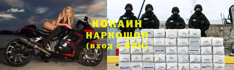 цены наркотик  Инсар  Cocaine FishScale 